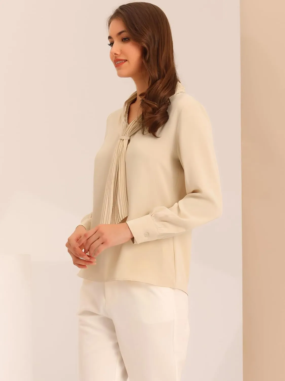 Allegra K Women's Dressy Long Sleeve Blouses Chiffon Pleated Tie Neck Office Top Shirt
