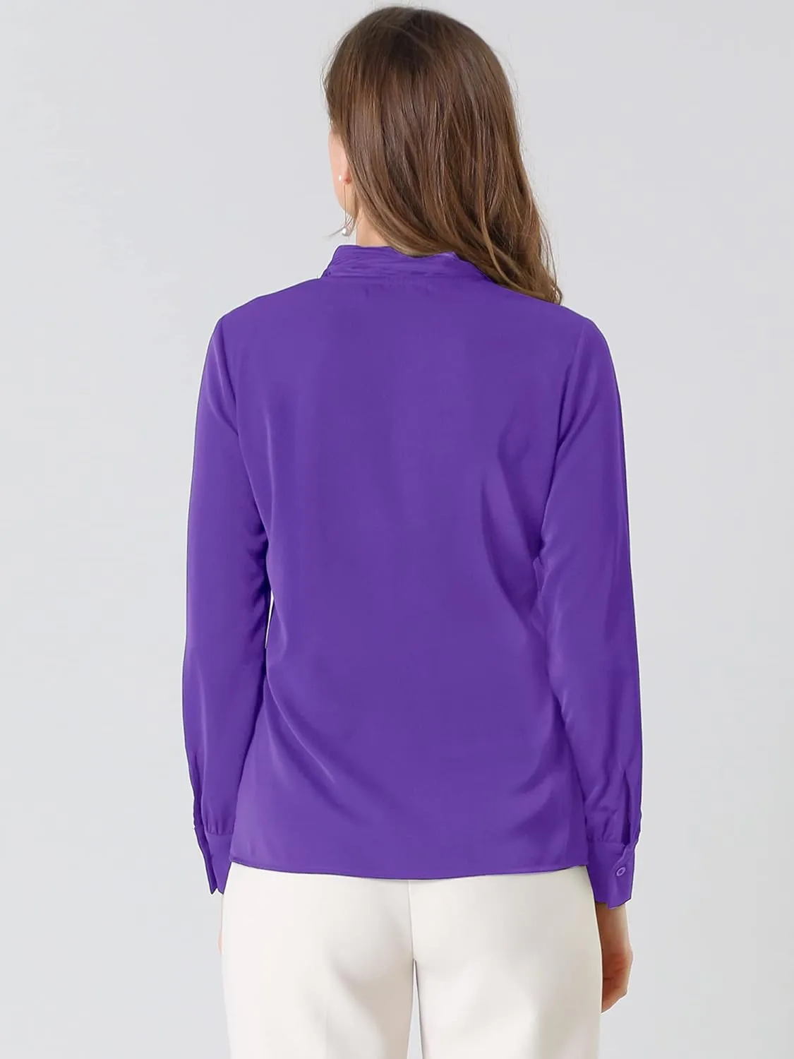 Allegra K Women's Dressy Long Sleeve Blouses Chiffon Pleated Tie Neck Office Top Shirt