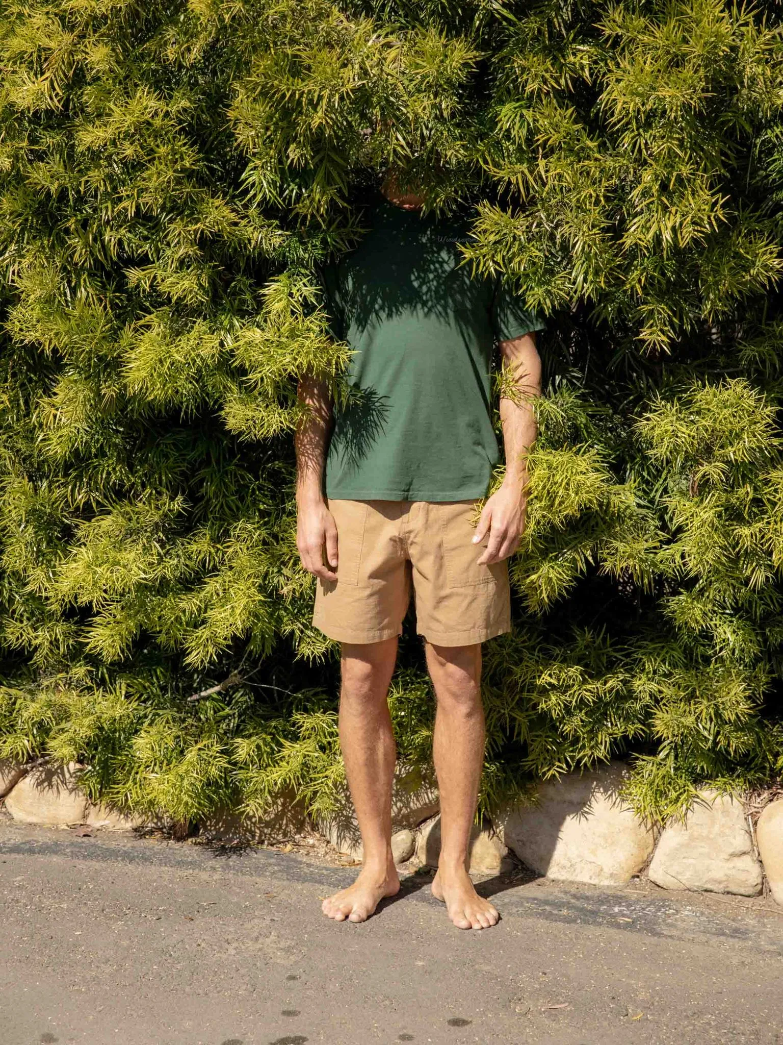 Salvador Shorts - Tan Earth