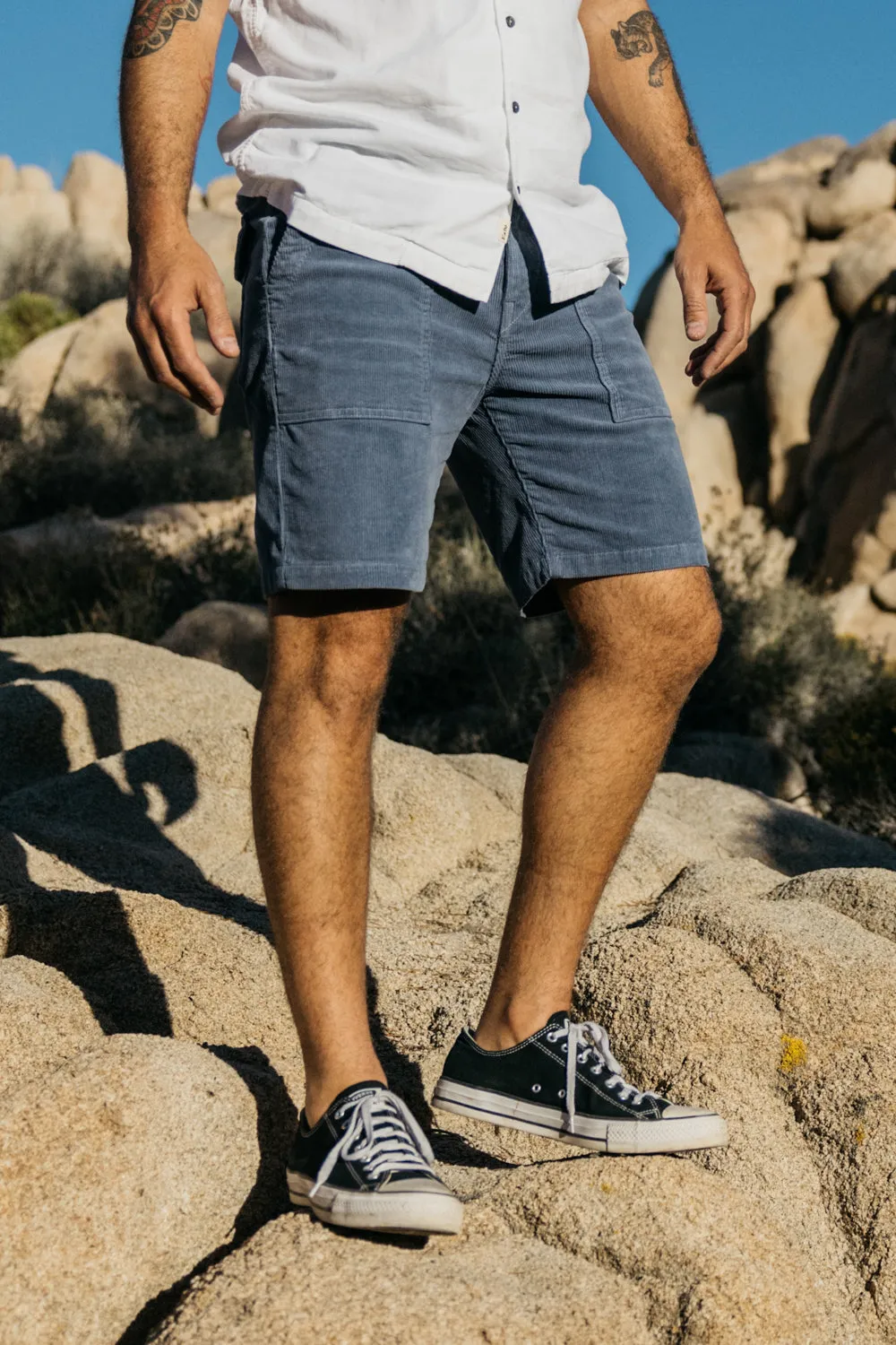 The Cove 8 1/4" - Blue Surf